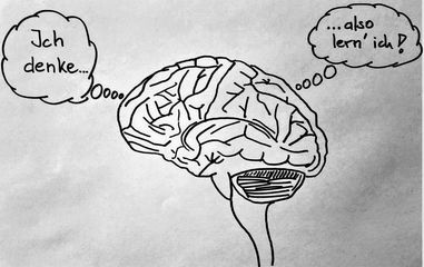 Gehirn: "Ich denke, also lern' ich!"